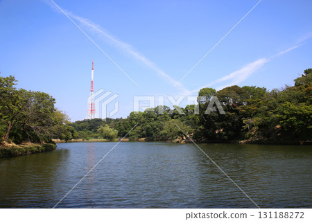 三井公園 三井公園 131188272
