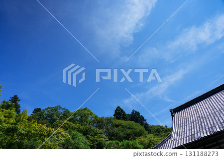 夏日綠葉與藍天複製空間 夏日綠葉與藍天複製空間 131188273