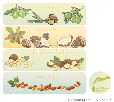 橄欖油、乳木果油、澳洲堅果油和杏仁油插圖 橄欖油、乳木果油、澳洲堅果油和杏仁油插圖 131188896