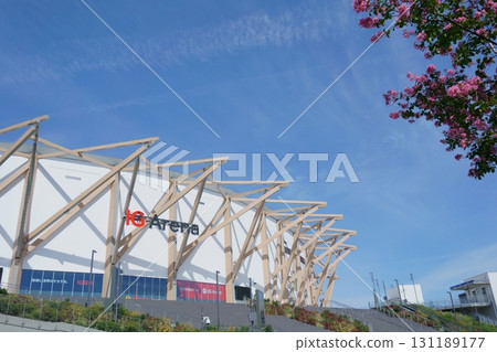 紫薇花和 IG 競技場 131189177