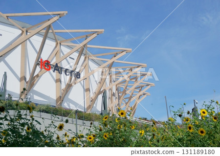 夏日向日葵盛開的IG競技場 131189180