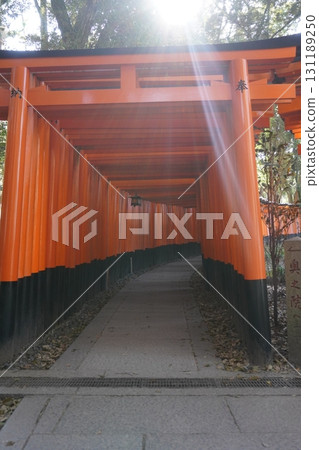 “18千個鳥居” “18千個鳥居” 131189250