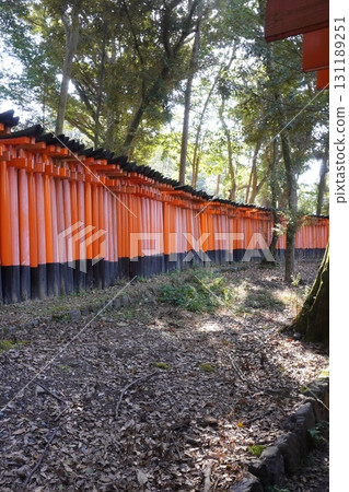 "Thousand Torii 17" 131189251