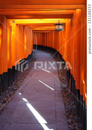 "15 Thousand Torii Gates" "15 Thousand Torii Gates" 131189253
