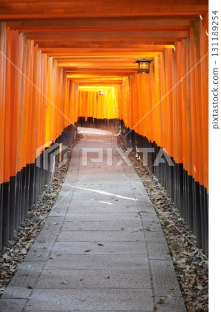 "Thousand Torii 14" 131189254