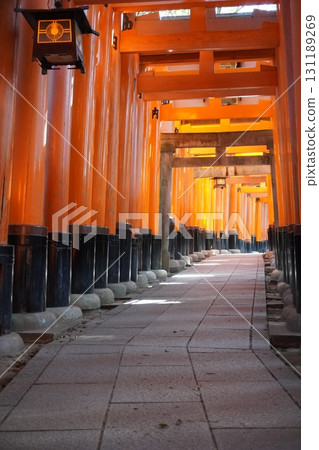 "Thousand Torii Gates 2" 131189269