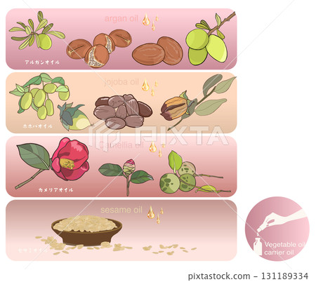 Illustration of argan oil, jojoba oil, camellia oil, and sesame oil 131189334