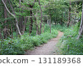 Grassy walking path in autumn forest 131189368