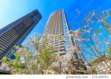 東京都港區城市景觀 麻布台山（麻布台山住宅區） 131189442