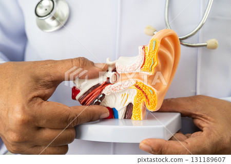 Asian doctor holding human ear model to learn and treat hearing loss in patient. 131189607