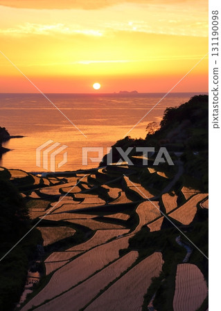 Rice terraces in Hamanoura "100 selections of rice terraces in Japan" [Genkai Town, Saga Prefecture] 131190098