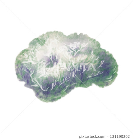Scetch reindeer moss or Icelandic lichen in soft gray-greens,crafted with watercolor washes and textured colored pencils.For nature themes,childrens books,educational projects and encyclopedia 131190202