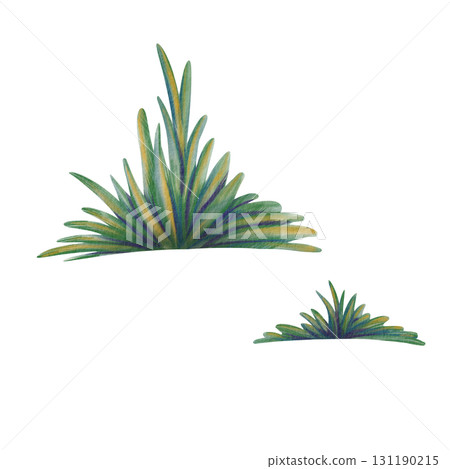 Cheerful clumps of yellowing autumn grass in cartoon style,crafted with soft watercolor washes and textured colored pencils.For seasonal projects,childrens books, nature-themed designs Cheerful clumps of yellowing autumn grass in cartoon style,crafted with soft watercolor washes and textured colored pencils.For seasonal projects,childrens books, nature-themed designs 131190215