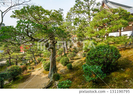 Tofukuji寺在冬天 131190795