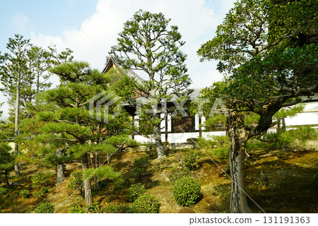Tofukuji寺在冬天 131191363