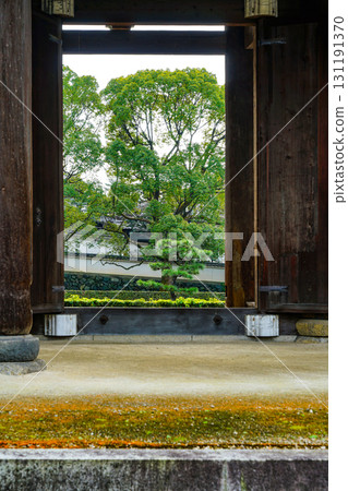 Tofukuji寺在冬天 131191370