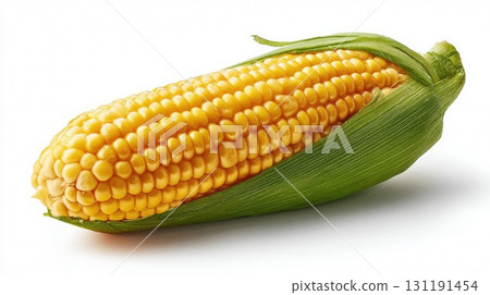 A fresh, raw ear of corn with its green husks peeled back, isolated on a white background 131191454