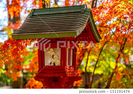 [東京] 九本佛淨心寺的燈籠被鮮豔的秋葉所環繞 131191474