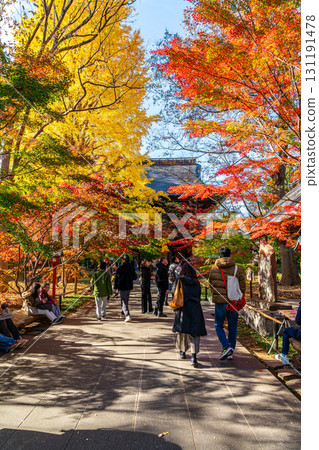[Tokyo] Beautiful autumn foliage at the temple gate of Kuhonbutsu Joshinji Temple 131191478