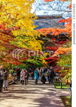 [Tokyo] Beautiful autumn foliage at the temple gate of Kuhonbutsu Joshinji Temple 131191481