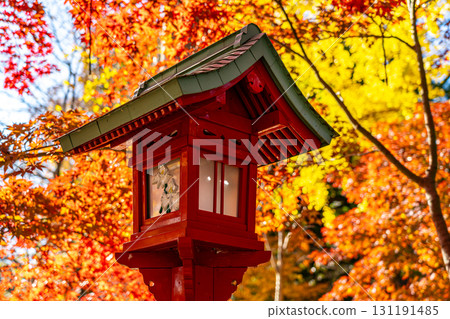 [Tokyo] Lanterns at Kuhonbutsu Joshinji Temple surrounded by vibrant autumn leaves 131191485