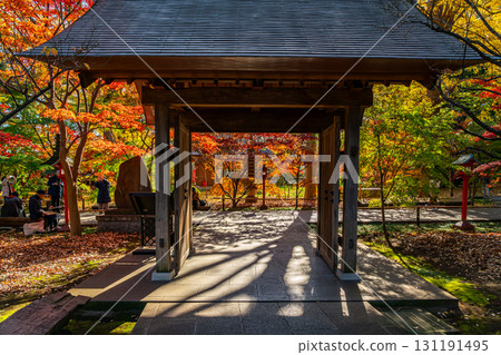 [東京]九本佛淨心寺藥師門的紅葉美景 131191495