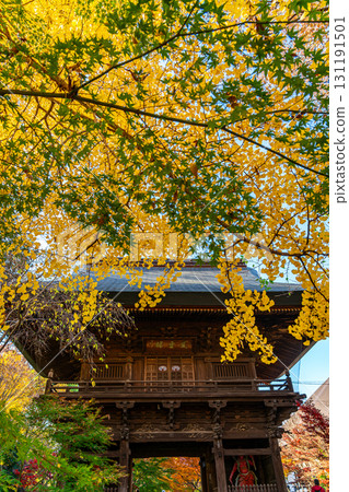 [Tokyo] Beautiful autumn foliage at the temple gate of Kuhonbutsu Joshinji Temple 131191501