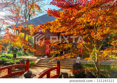 [Tokyo] Beautiful autumn leaves at Enma-do Hall of Kuhonbutsu Joshinji Temple 131191521