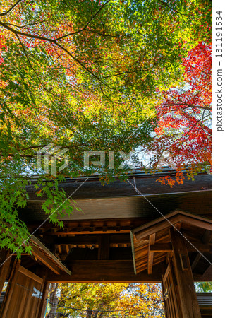 【東京】九本佛淨心寺正門,紅葉美景 【東京】九本佛淨心寺正門,紅葉美景 131191534