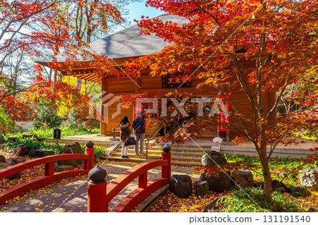 [Tokyo] Beautiful autumn leaves at Enma-do Hall of Kuhonbutsu Joshinji Temple 131191540