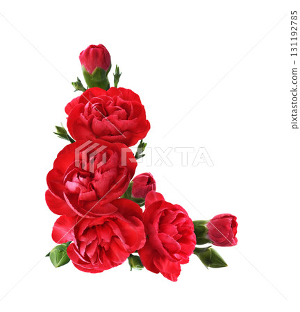 Red carnation flowers with green buds in a corner floral arrangement isolated on white background 131192785