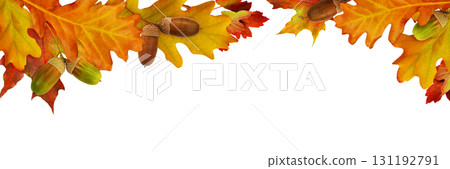 Red autumn leaves and acorns in a top border arrangement isolated on white Red autumn leaves and acorns in a top border arrangement isolated on white 131192791