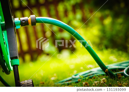 Garden hose for watering plants in garden 131193099