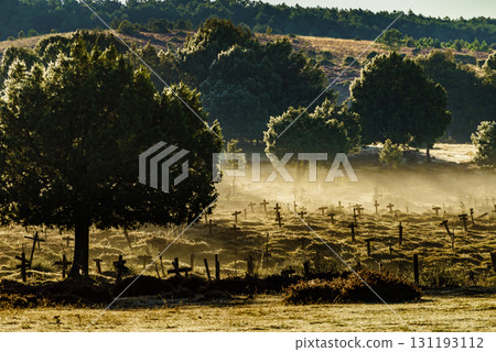 Haze in morning over Sad Hill Cemetery in Burgos, Spain 131193112