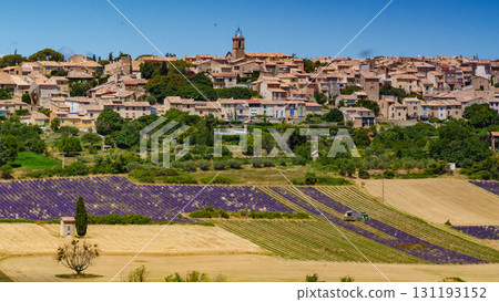 Hilltop Puimoisson village, Provence France Hilltop Puimoisson village, Provence France 131193152