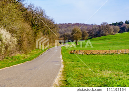 Empty country road in France Empty country road in France 131193164