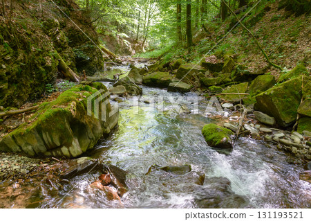 water stream flow among trees and rocks in summer. forest landscape with river and stones. beautiful nature background for travel. outdoor adventure in carpathian woodland in green foliage water stream flow among trees and rocks in summer. forest landscape with river and stones. beautiful nature background for travel. outdoor adventure in carpathian woodland in green foliage 131193521