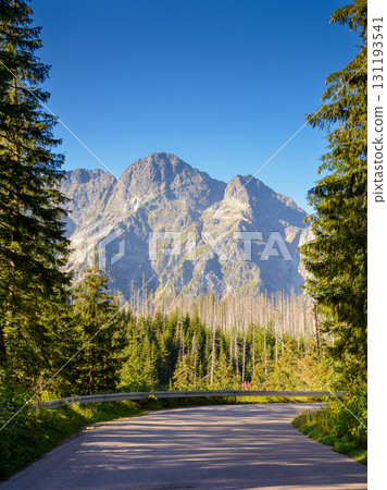 landscape with road path among spruce trees in high tatra mountains. forest nature environment of poland on a summer morning 131193541