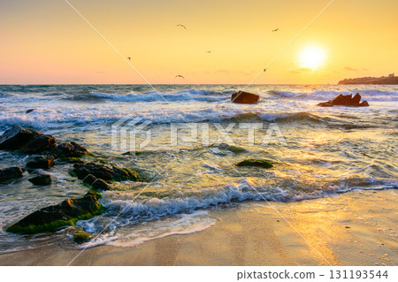 summer vacation at the sea. nature landscape with rock on sandy beach at sunrise. calm scenery with cloudless sky and sun above horizon 131193544