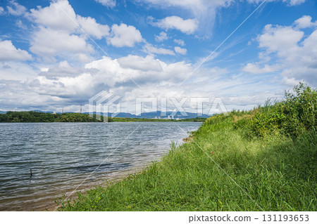 淀川風景 大阪府枚方市 131193653