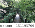 Suspension bridge in Hikawa Valley 131193709