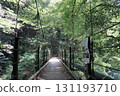 Suspension bridge in Hikawa Valley 131193710