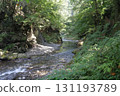 A stream bathed in sunlight 131193789