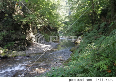 沐浴在陽光下的溪流 131193789