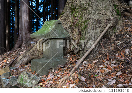 Butsugayama in Tanzawa, Autumn mountain path, fir trees and shrine Butsugayama in Tanzawa, Autumn mountain path, fir trees and shrine 131193948