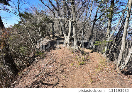 丹澤相模阿爾卑斯山：絹日山頂 131193983