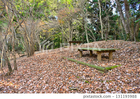 丹澤舊土山嶺川子石山休息站 131193988