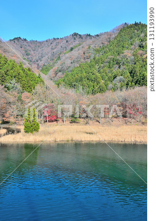 Lake Miyagase in autumn, Kiyokawa Village, Kanagawa Prefecture. Mount Butsuga seen from Higashizawa Bridge. 131193990