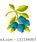 Vector blueberries with green leaves. Cartoon berries for food design, garden harvest, healthy lifestyle and summer decoration. 131194007