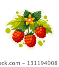 Red raspberries vector illustration with leaves and flower. Cartoon berries for garden, summer harvest, food and healthy lifestyle. 131194008